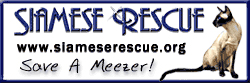 Click to visit SIAMESE RESCUE
