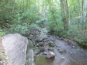 020-creek-campground