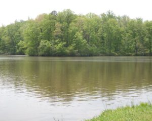 008-BearCreekLake