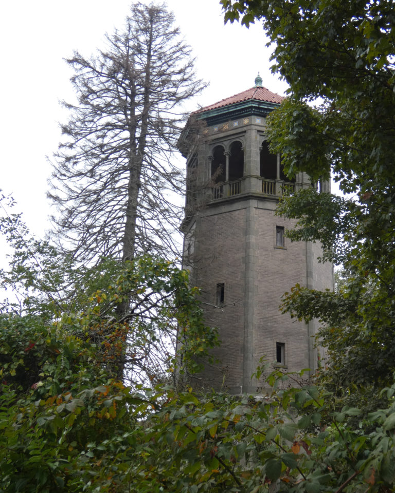 Swannanoa October 6, 2019 Simply ArtRageous!